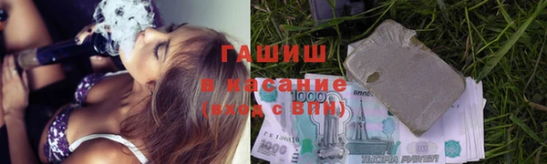 стаф Алзамай