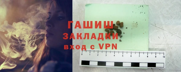 стаф Алзамай