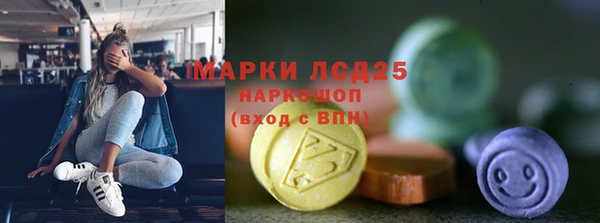 прущие грибы Алексеевка