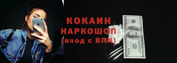 стаф Алзамай