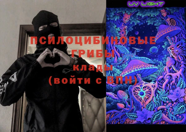 стаф Алзамай