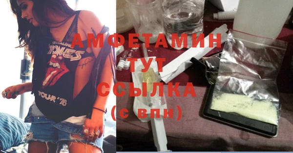 стаф Алзамай