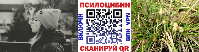 Галлюциногенные грибы Psilocybe  наркота  Камешково 